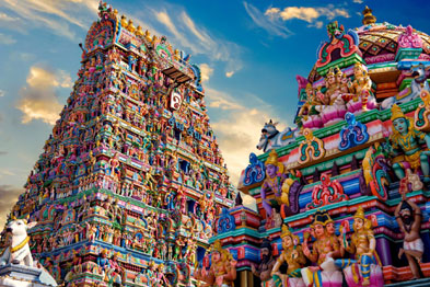 South India Delight Package